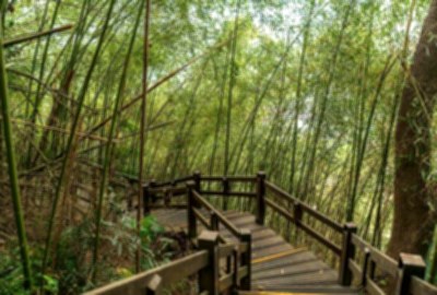 梅山遊客中心